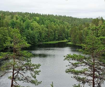 Wild Frame Adventures-赫尔辛基必去景点