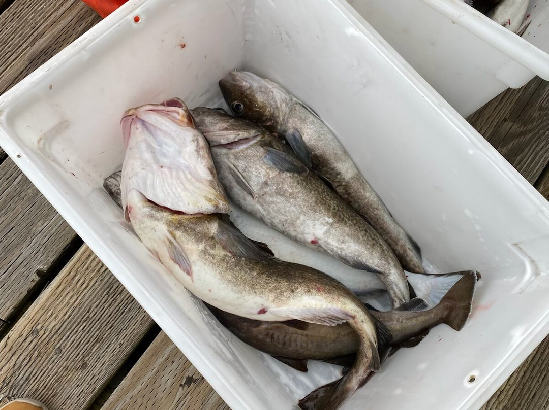 Baranof Fishing Excursions-凯奇坎必去景点