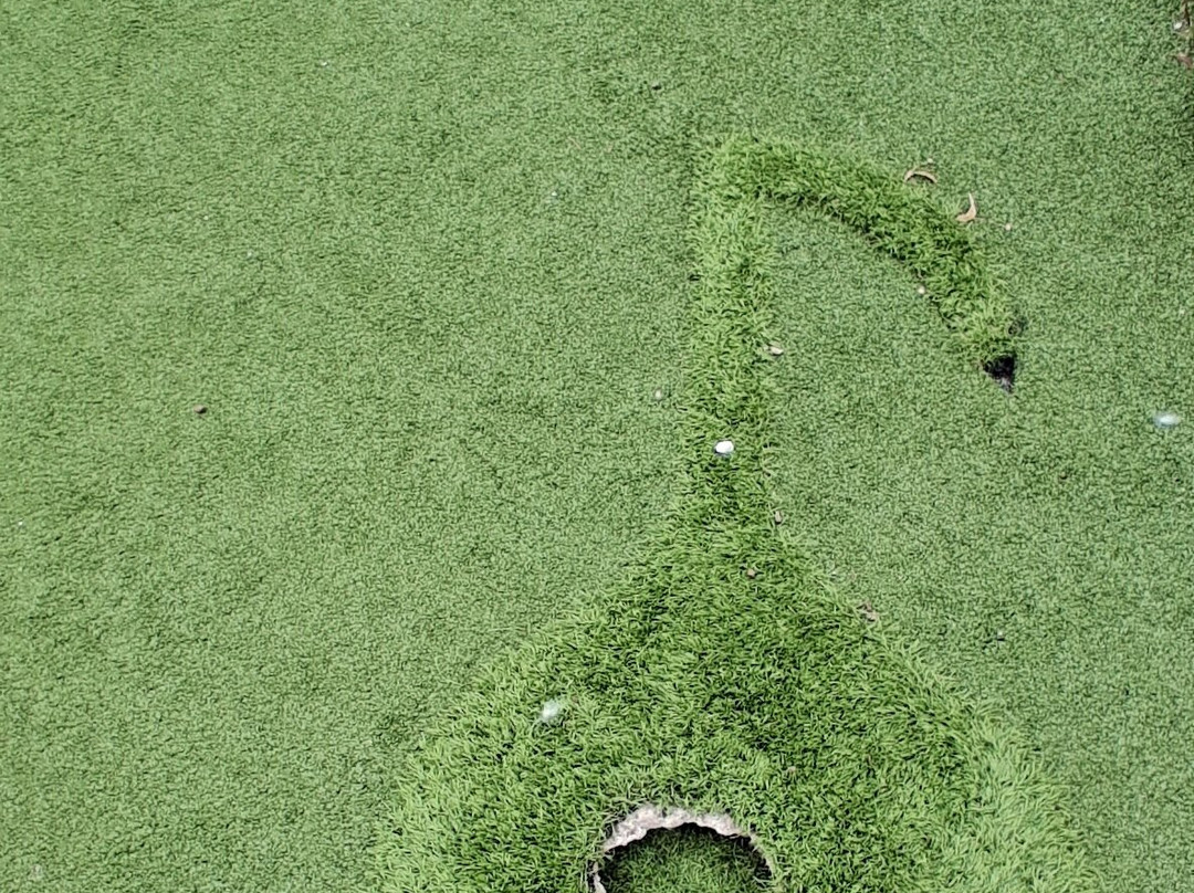 Highfields Park Adventure Golf-诺丁汉必去景点