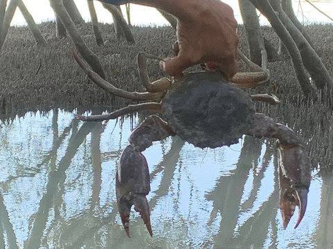 Narlijia Experiences Broome-布鲁姆必去景点
