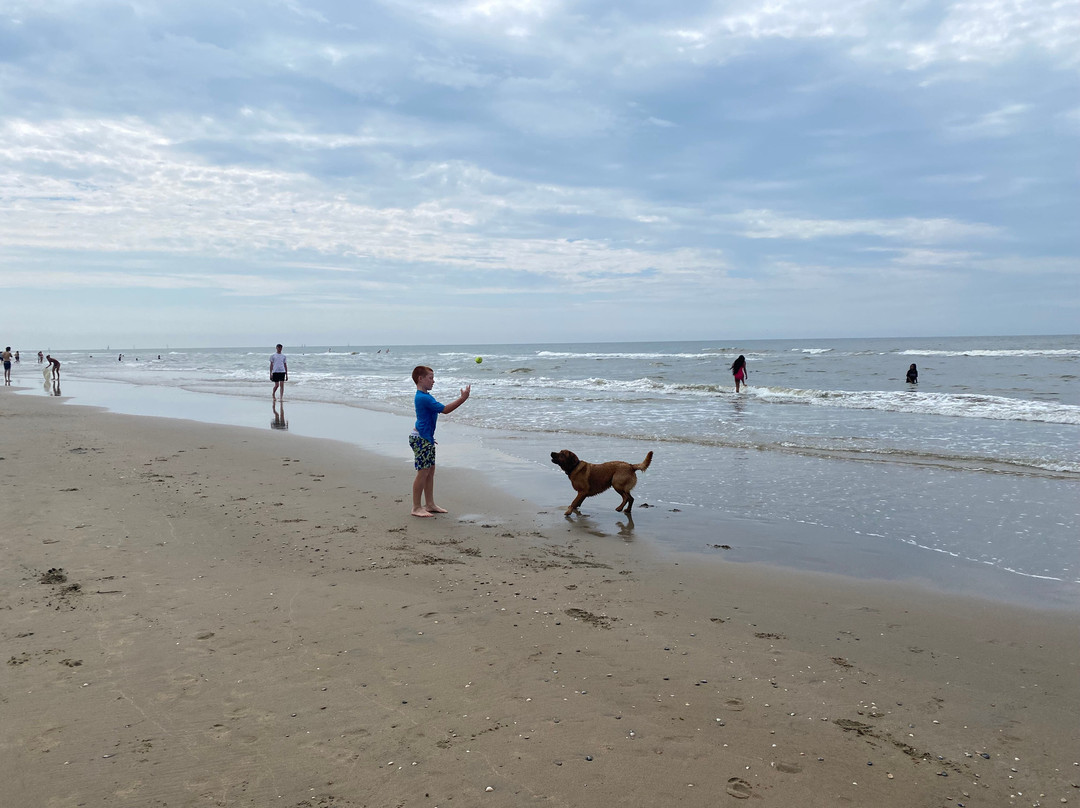 Zandvoort Aan Zee-赞德沃特必去景点