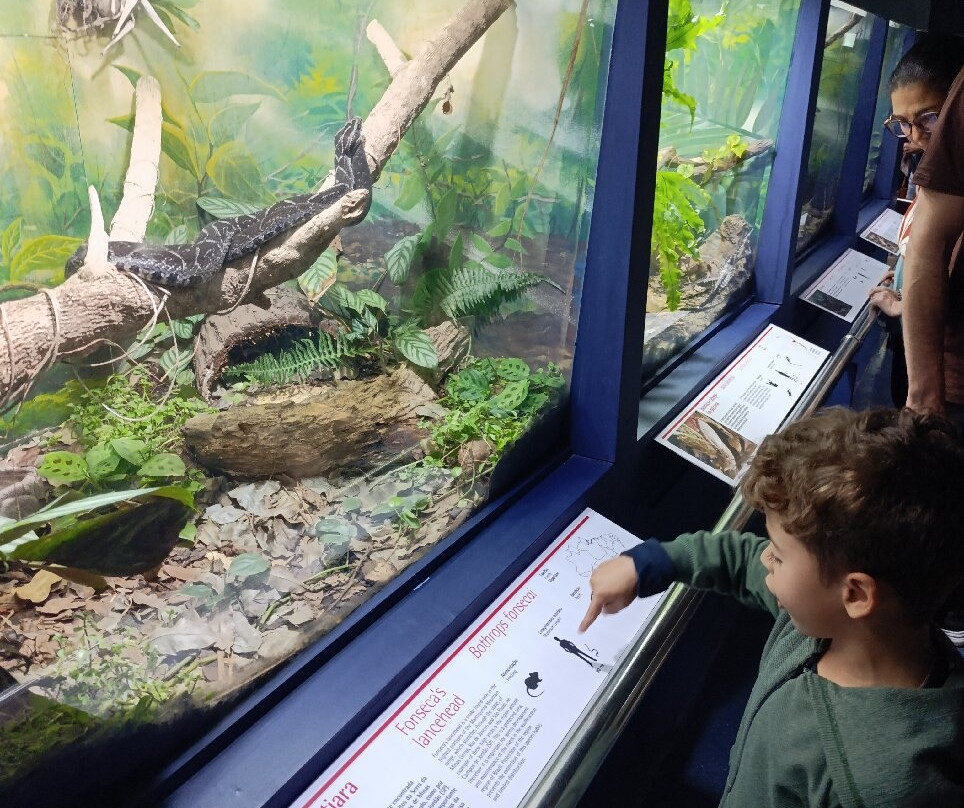 Butantan Institute-圣保罗必去景点