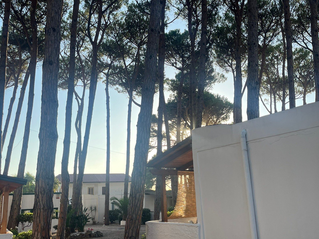 Villaggio Lido Linora-Paestum必去景点