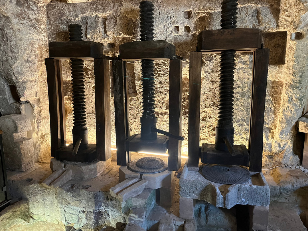 MOOM Matera Olive Oil Museum-马泰拉必去景点