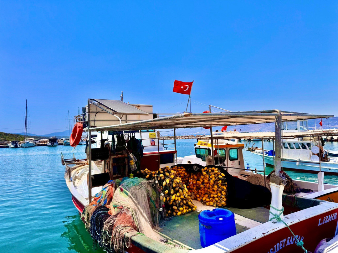 Özbek Marina-Urla必去景点