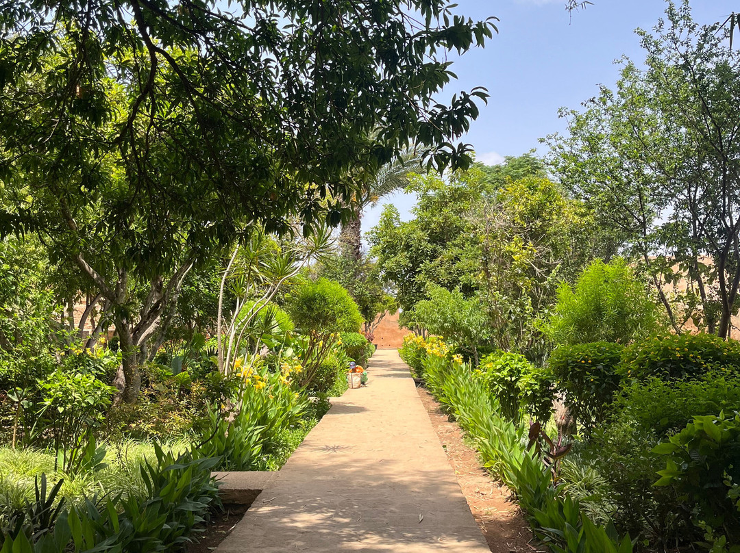 Go Marruecos Travel Tours-丹吉尔必去景点