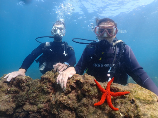 Diver Bees Dive Center-库萨达斯必去景点