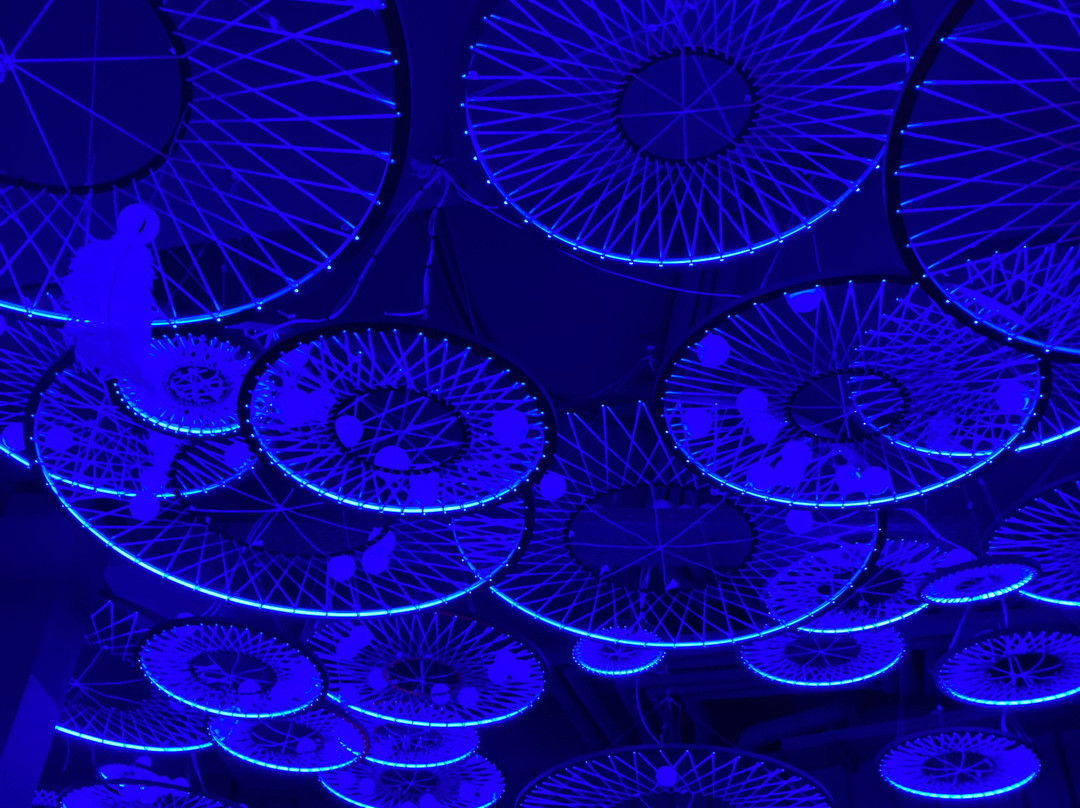 IKONO Copenhagen-哥本哈根必去景点