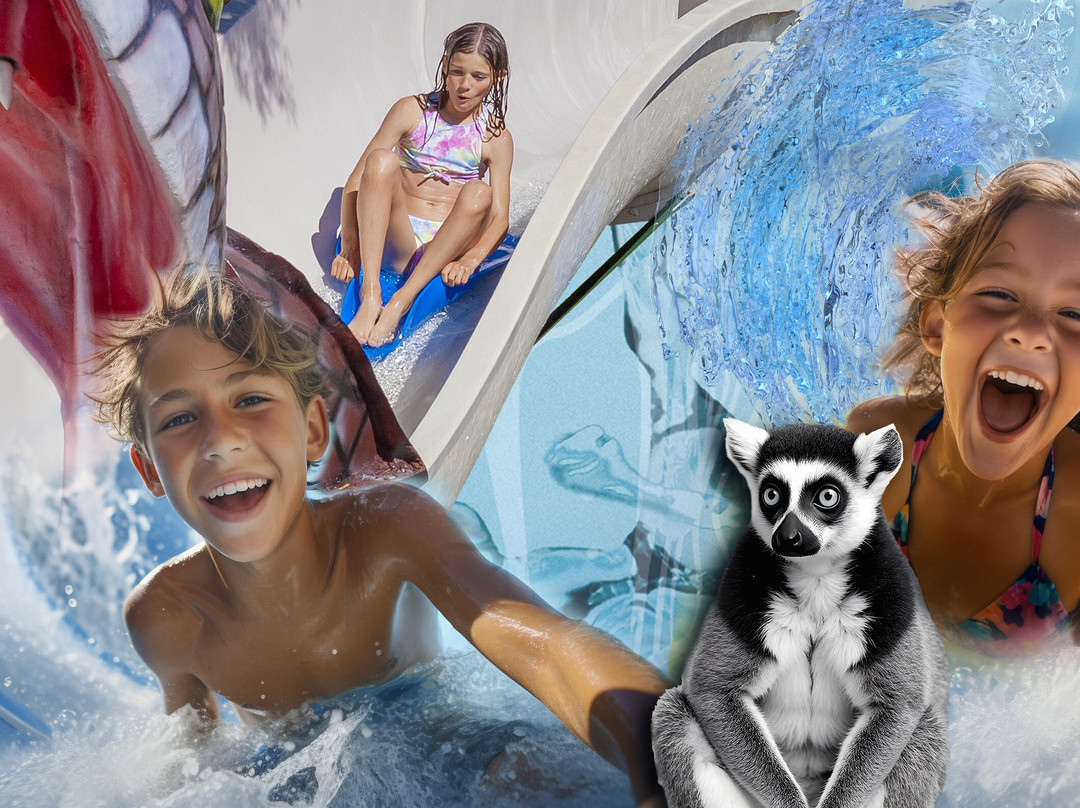 Krazy World Zoo-Algoz必去景点