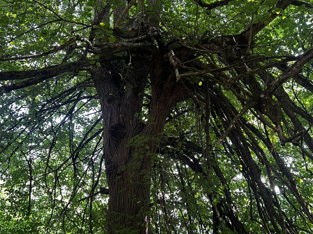 Valle de Carlac-Bausen必去景点