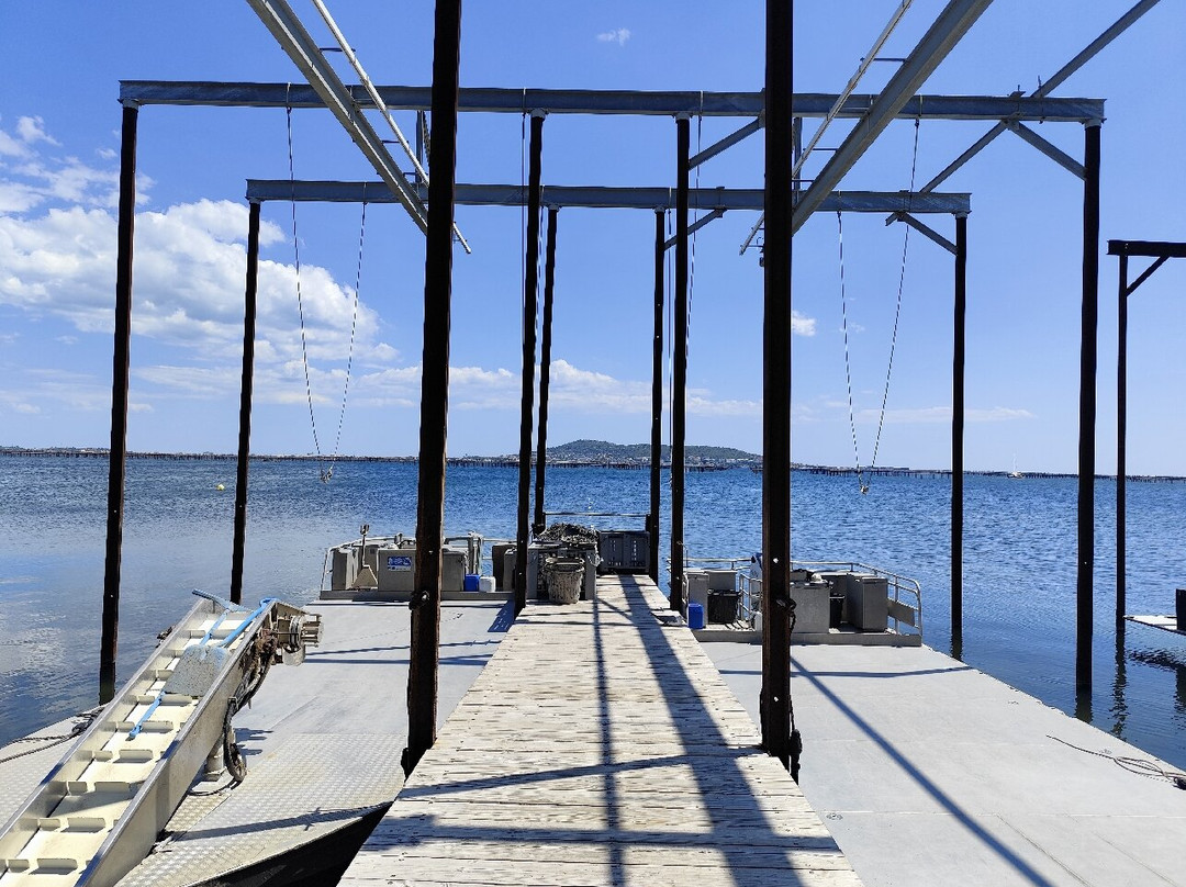 Sanchez Huitres-Loupian必去景点