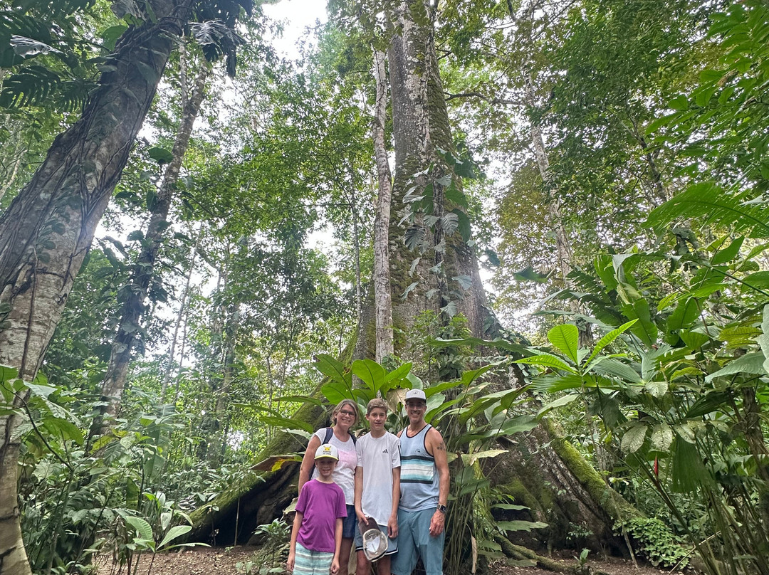 Rancho Raices De Puerto Jimenez-希门尼斯港必去景点