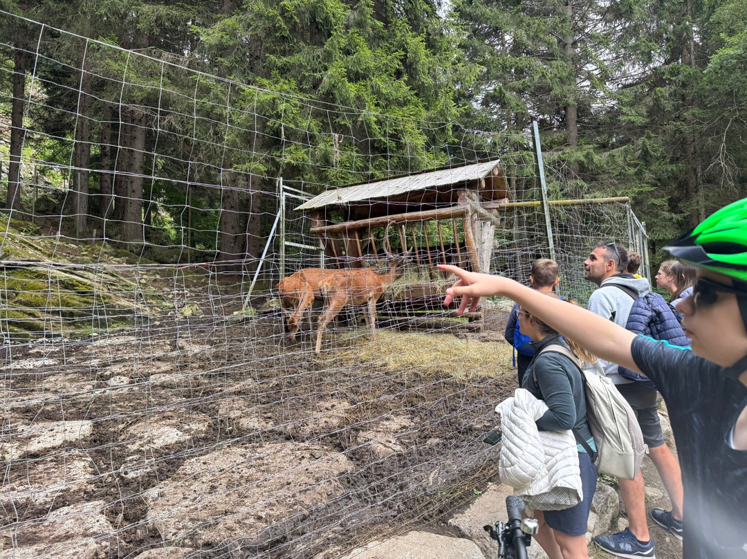 Centro Bike Val di Sole-Commezzadura必去景点