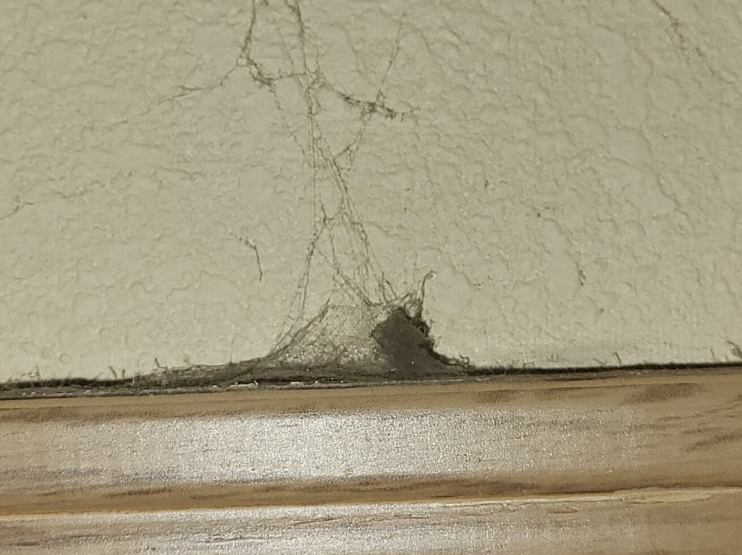 Best Western Stateline Lodge主图