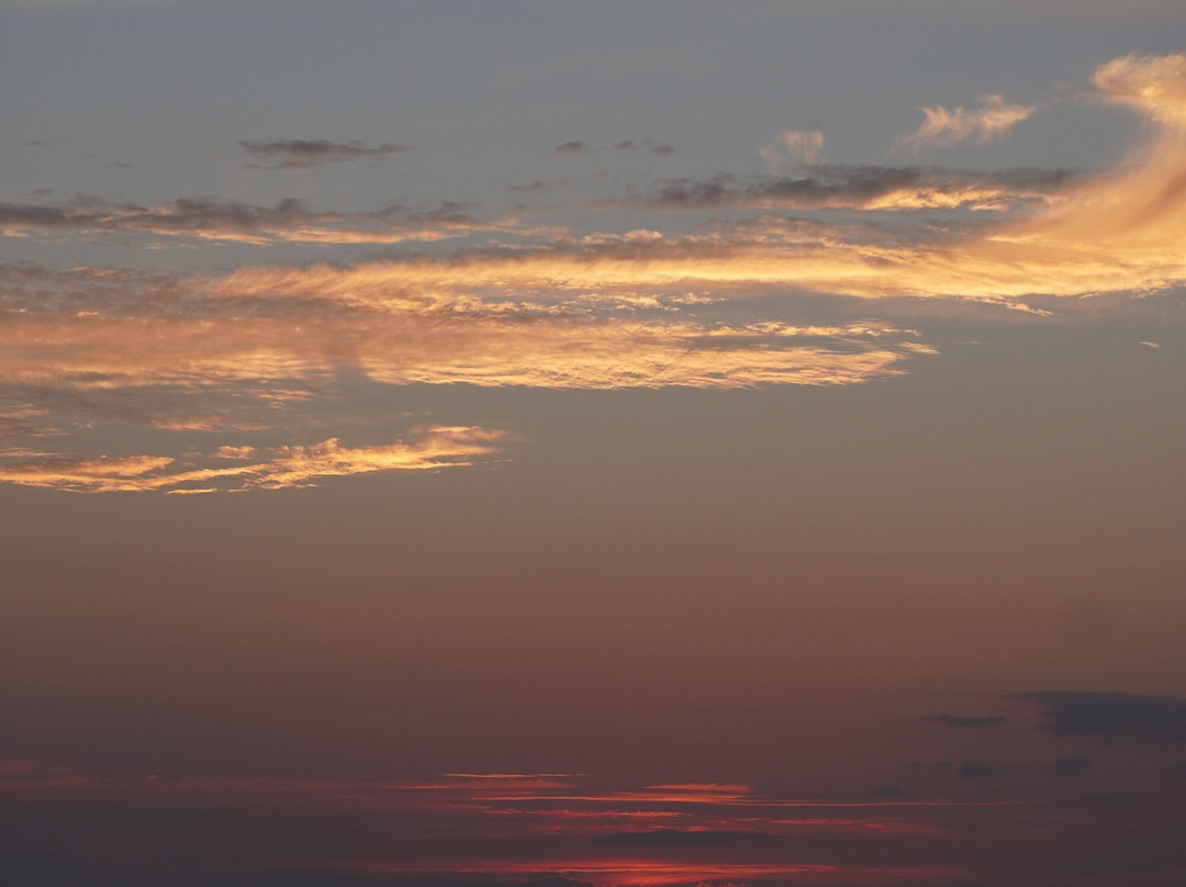 The Steamship Authority-Oak Bluffs必去景点