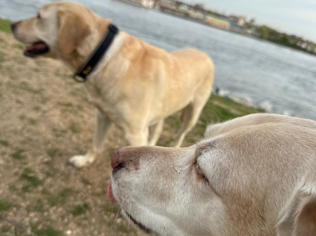 Hardscrabble Wilderness Area-Briarcliff Manor必去景点