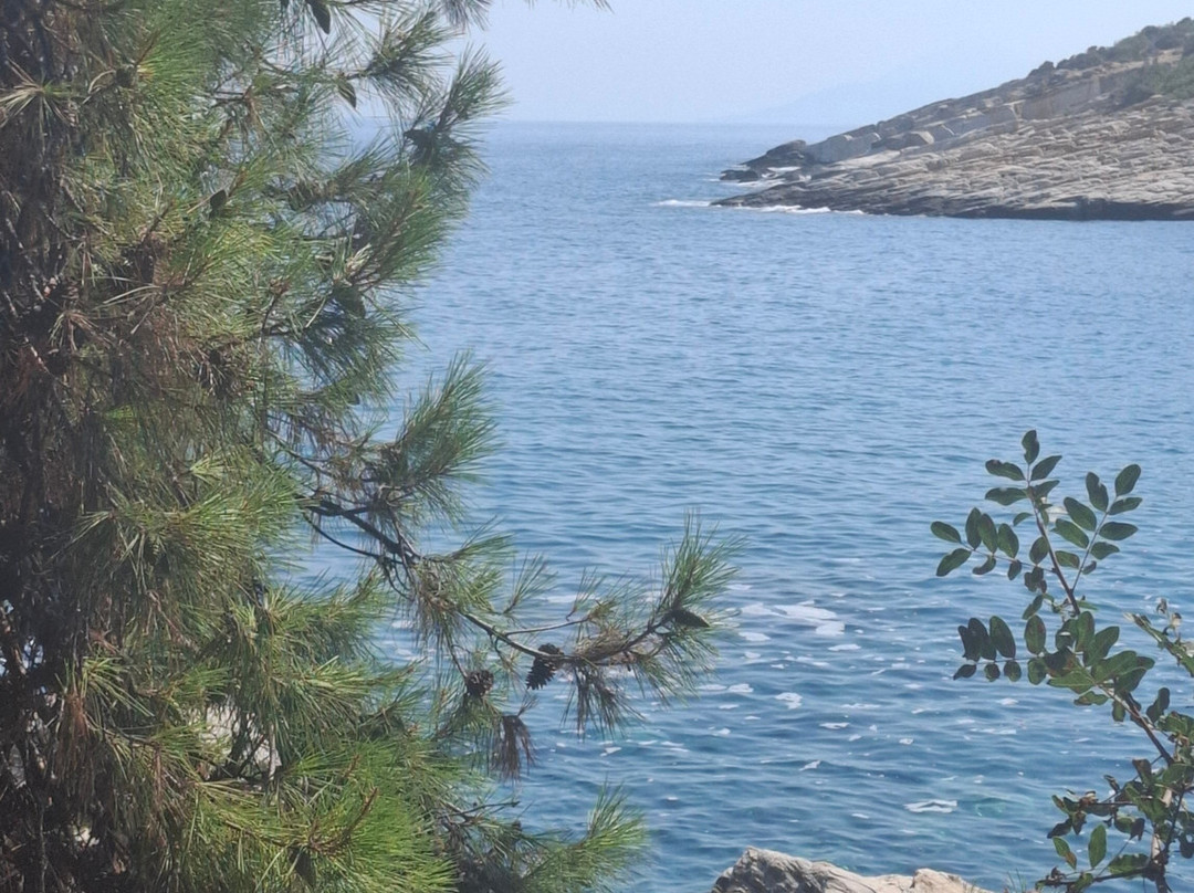 Pension Archodissa主图