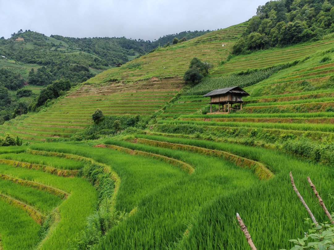 Indigenous Adventure-Mu Cang Chai必去景点
