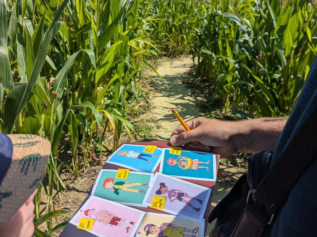 Labyrinthe de Malido-Saint-Alban必去景点