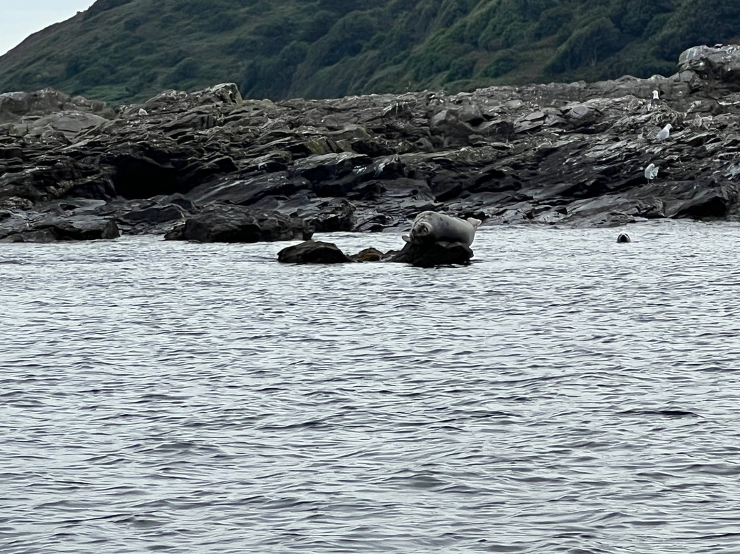 Kingfisher Coastal Charters-Newlyn必去景点