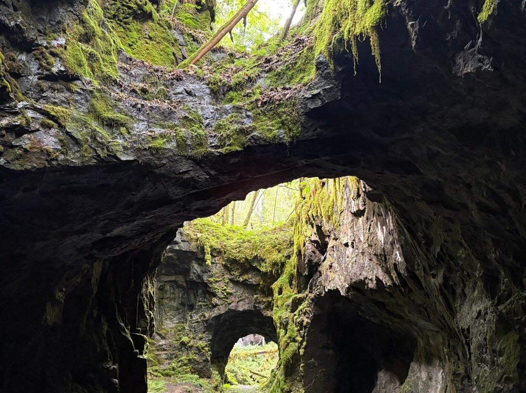 Högbergsfält naturreservat-Filipstad必去景点