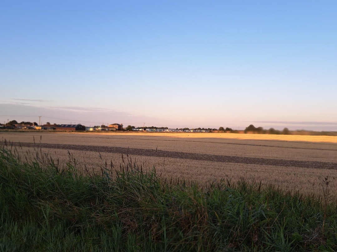 Anderby Creek Beach-斯凯格内斯必去景点