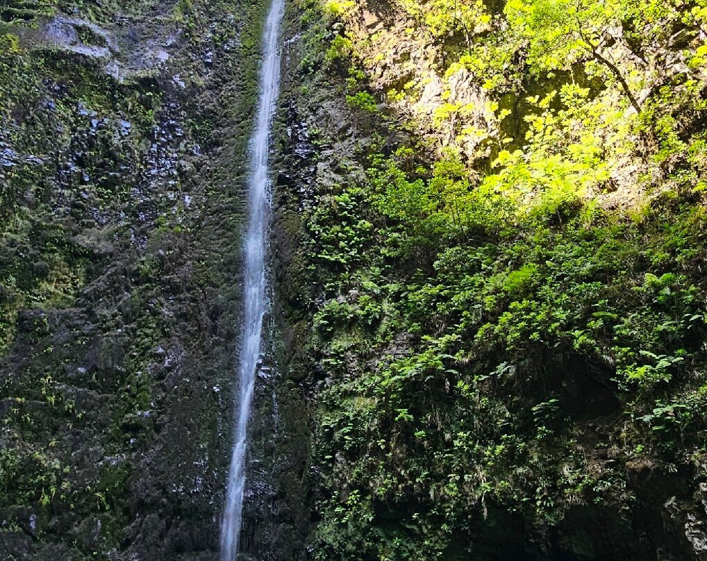 Levada Do Caldeirao Verde-Santana必去景点