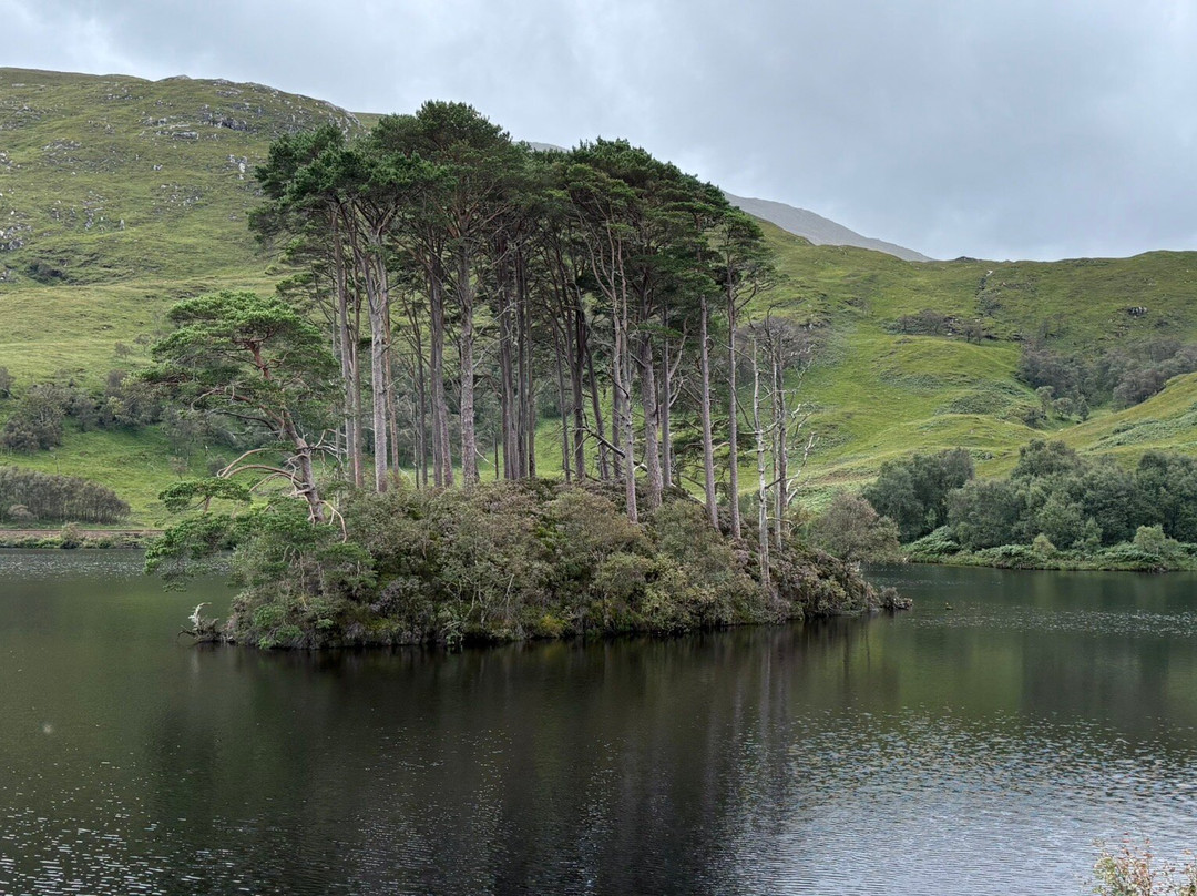 Eilean Na Moine. Dumbledore's Grave-Glenfinnan必去景点