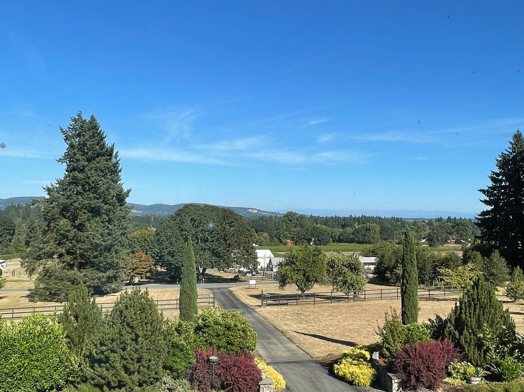 Franziska Haus Bed and Breakfast主图