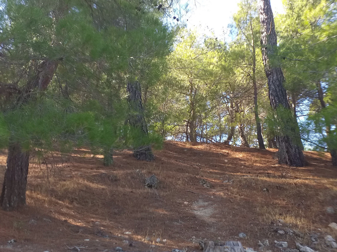 Zeus Altarı-埃德雷米特必去景点