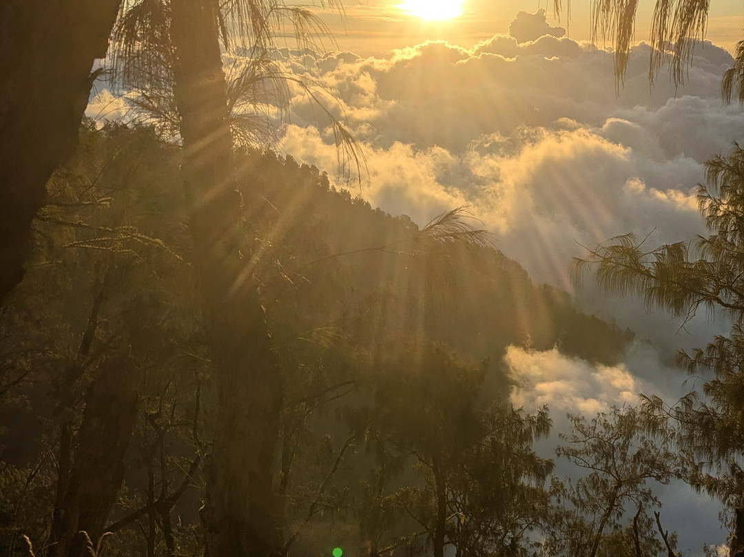 Hallo Trekker - Day Tours-Senaru必去景点