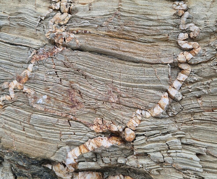 Guided Geology Walks (Cornwall Geowalks)-圣艾维斯必去景点