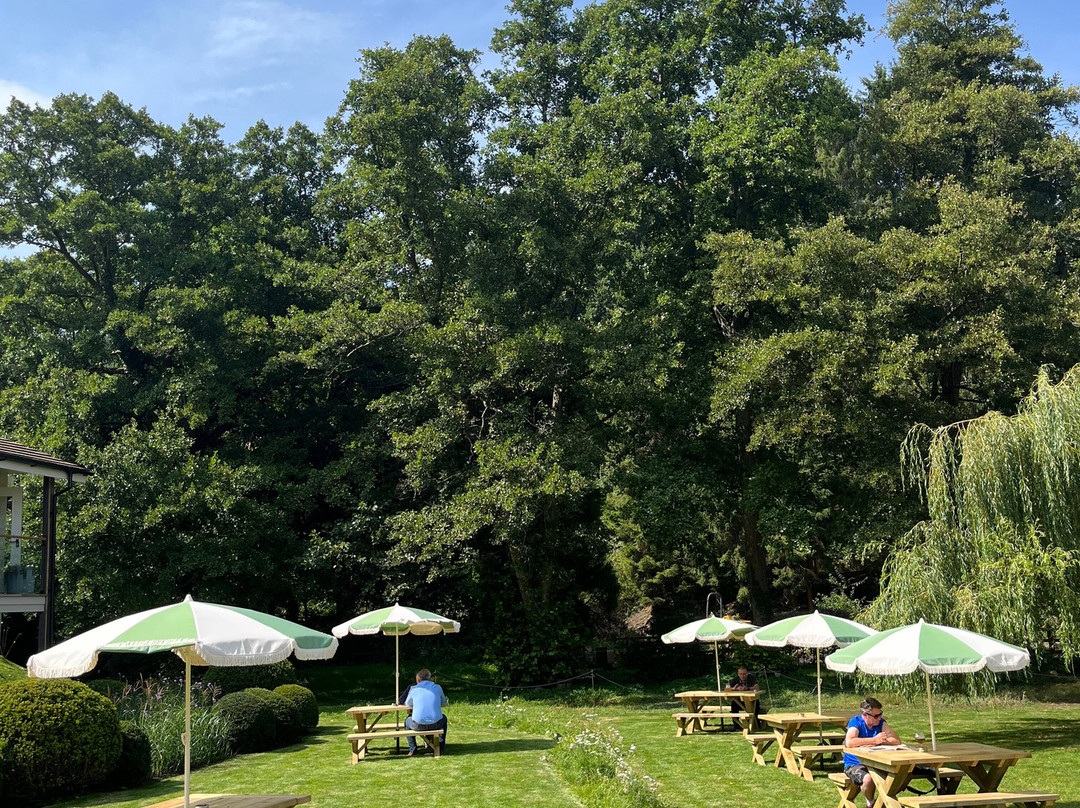 The Royal George主图