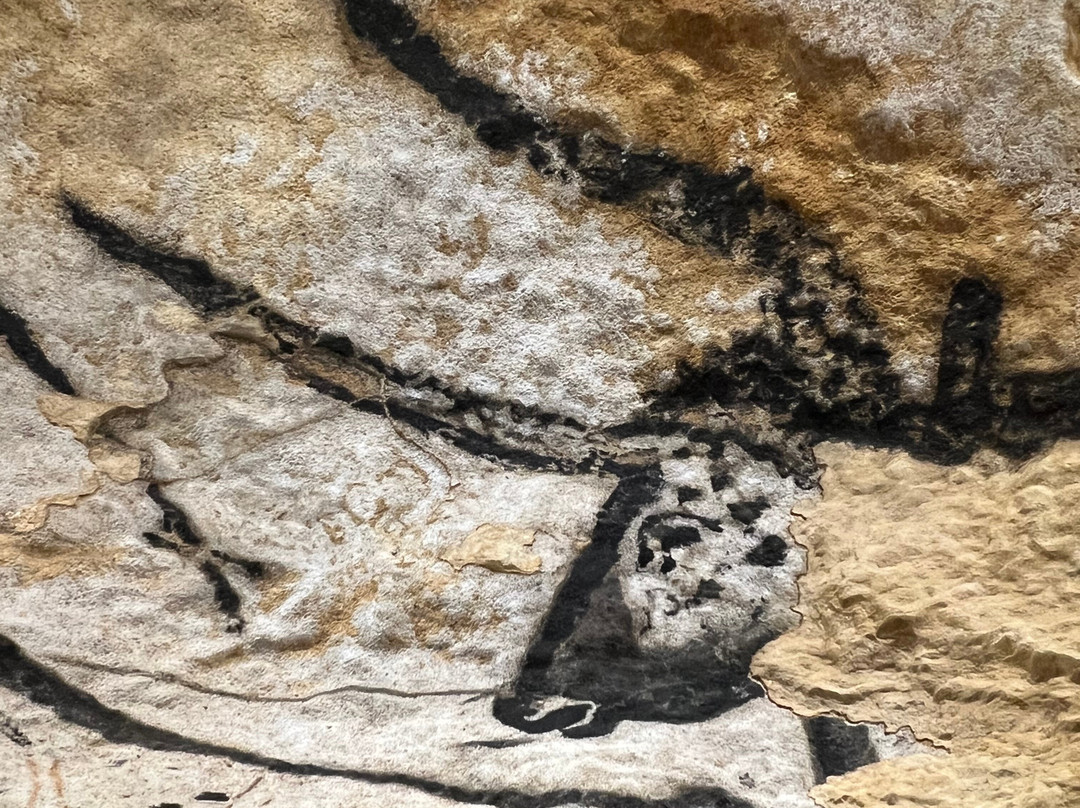 Willny's Cafe Montignac