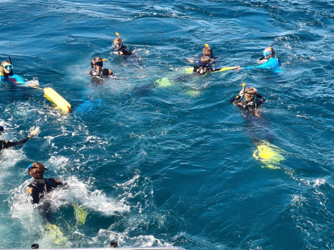Ningaloo Marine Interactions-珊瑚湾必去景点