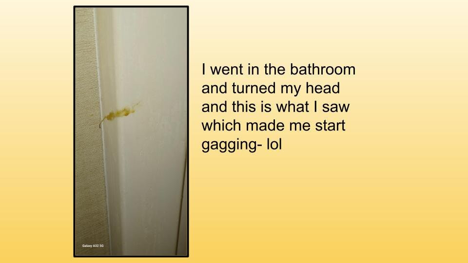 Comfort Inn & Suites North - Conway主图