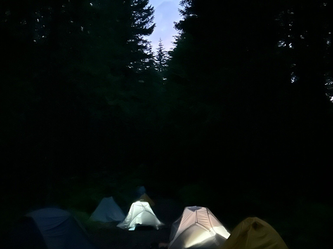 Rare Earth Adventures-波特兰必去景点