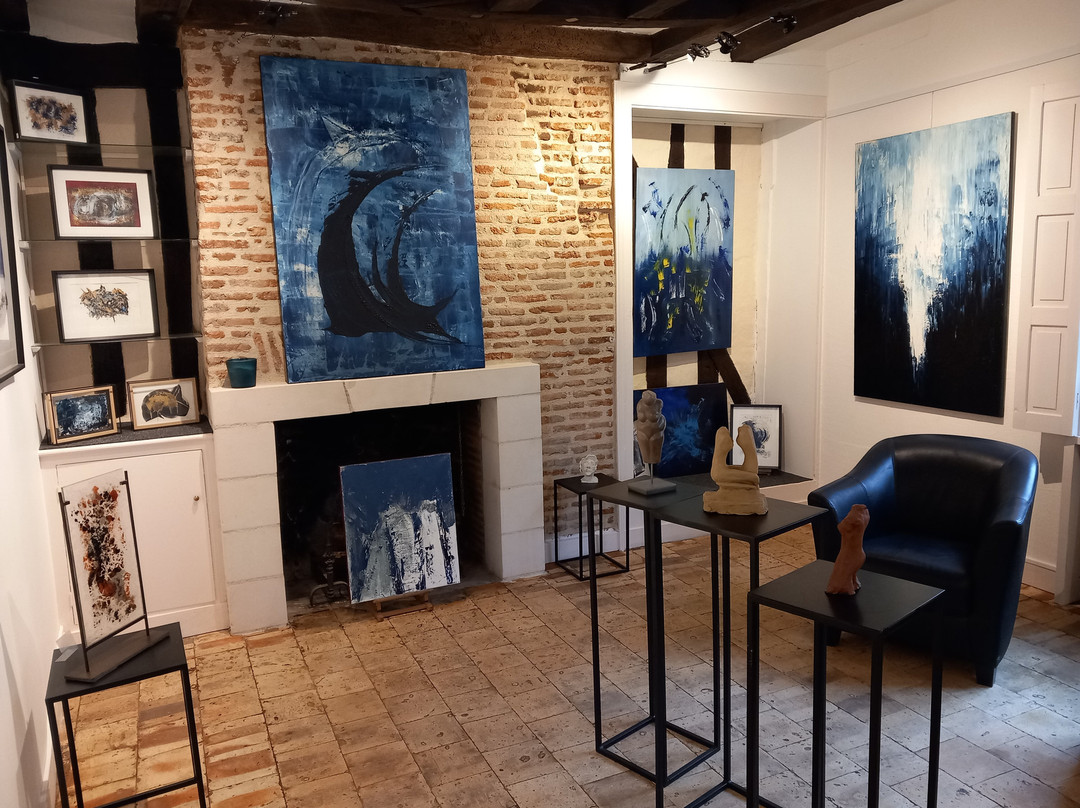 Galerie Victor Hugo-昂布瓦斯必去景点