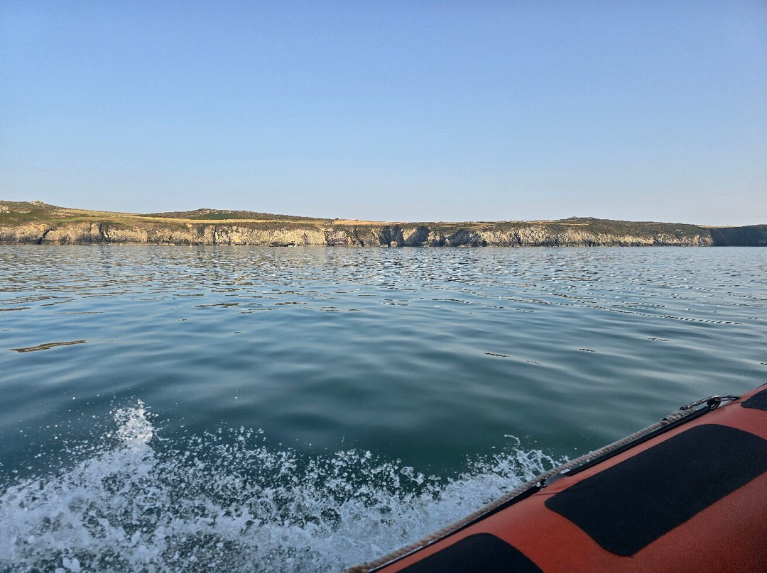 Voyages of Discovery (Ramsey Island)-St. Davids必去景点