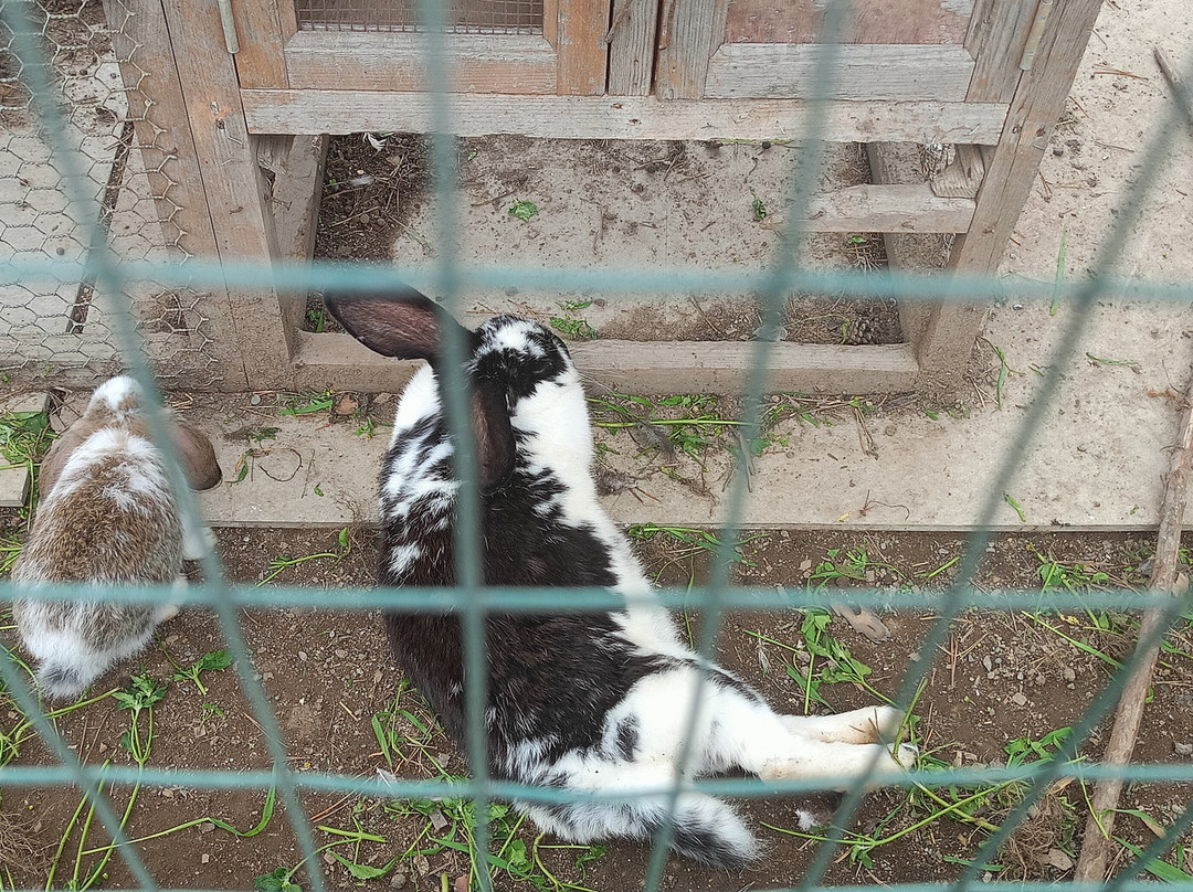 Botanical Garden-Institute-海参崴必去景点