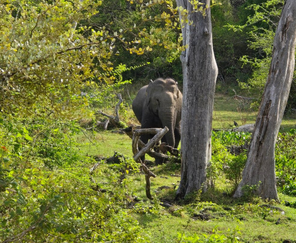 Slaya Holidays & GoCamping-Kaduwela必去景点