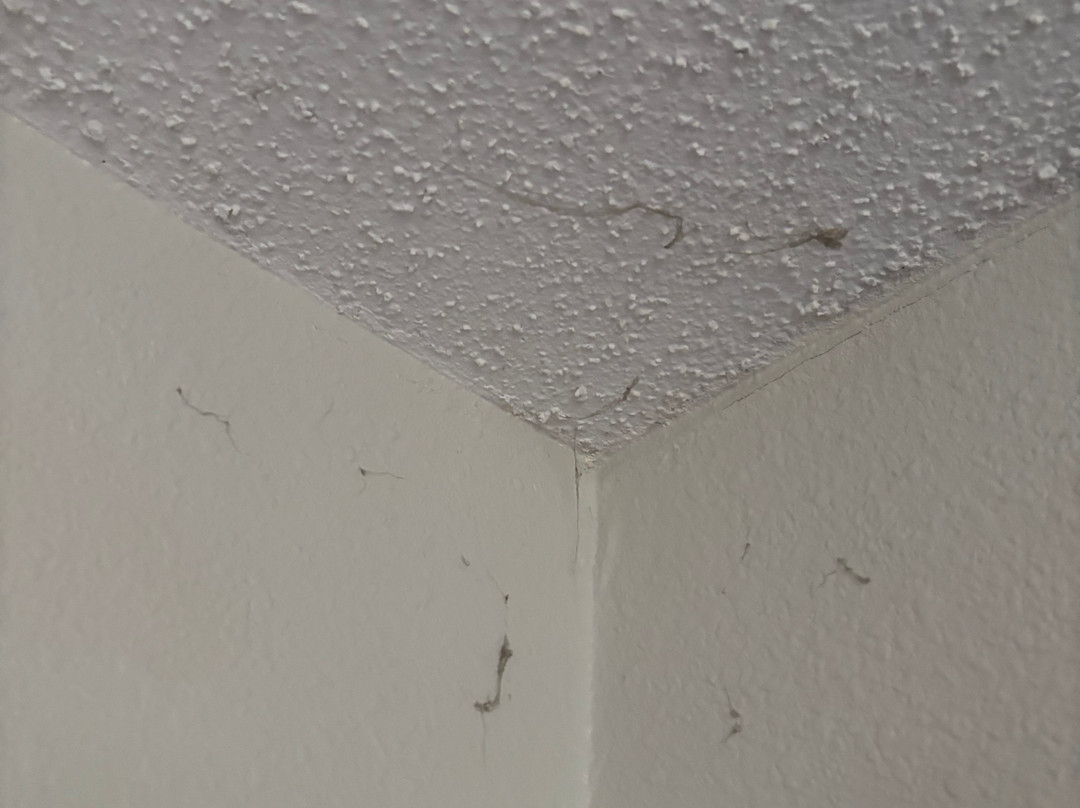 梅多兰兹锡考克斯拉金塔套房酒店主图