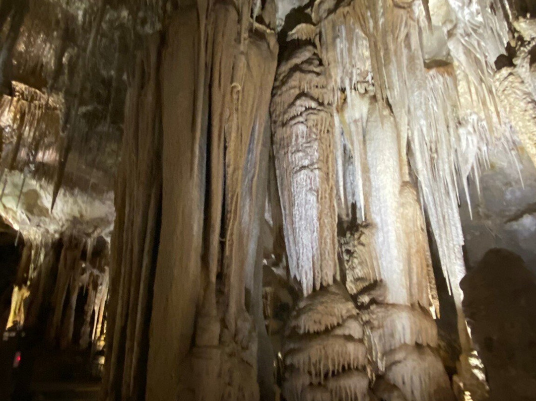 Tantanoola Caves Conservation Park-Tantanoola必去景点