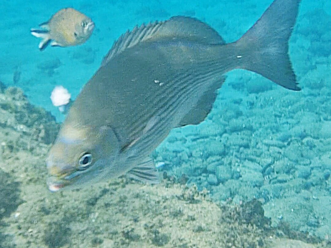 Playa De Montaña Roja