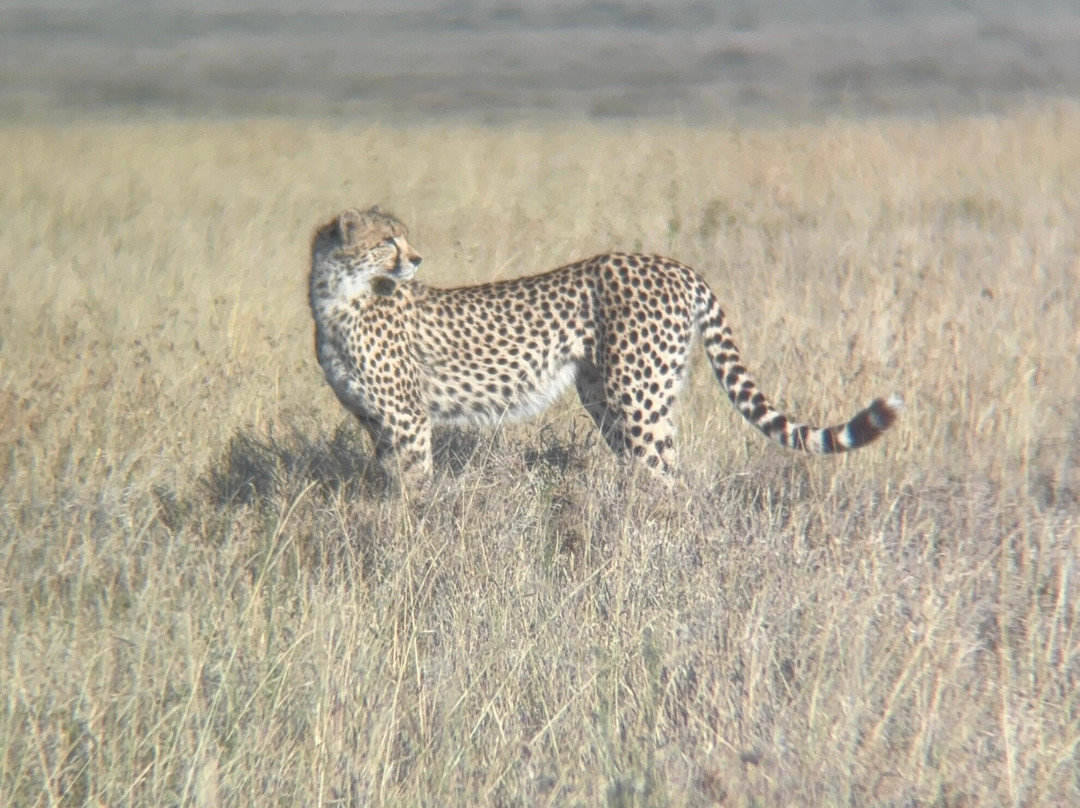 Tazama Africa Tours and Safari-阿鲁沙国家公园必去景点