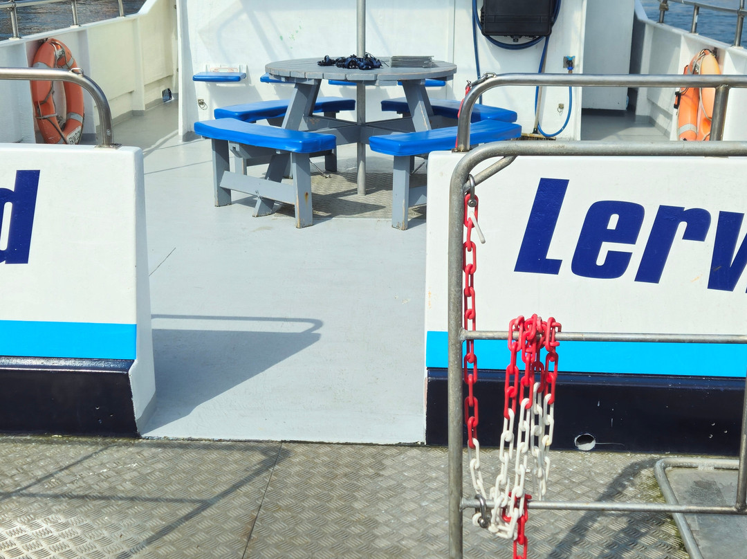 Seabirds and Seals - The Original Noss Boat Tours-Lerwick必去景点