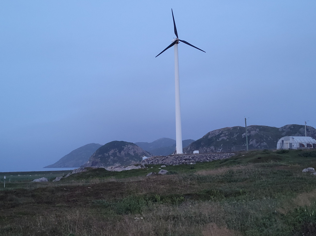 Ramea - Grey River - Burgeo Ferry-Ramea必去景点