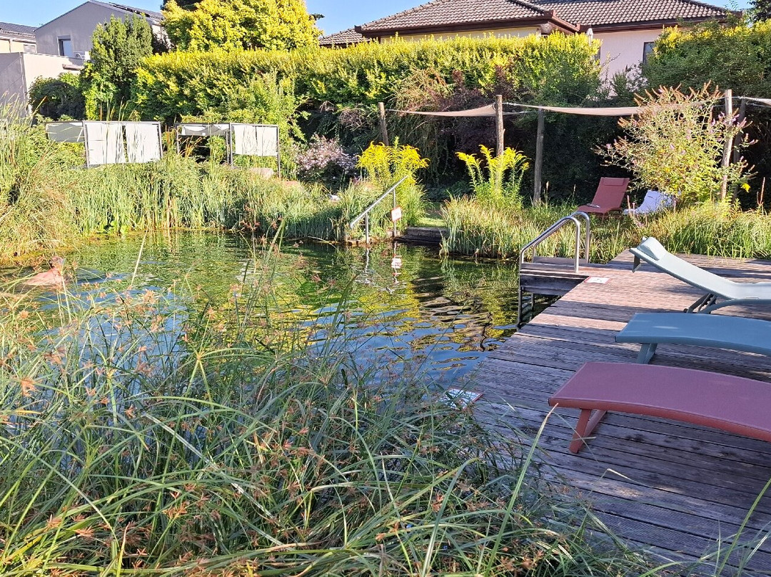 ad vineas Gastehaus Nikolaihof主图