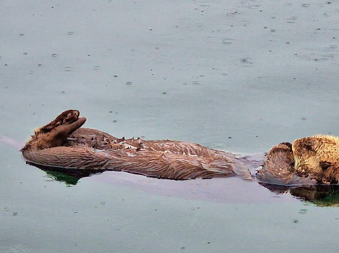 Rainbow Tours-荷马必去景点