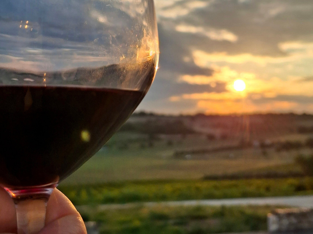 Conte Leopardi Wines-努马纳必去景点